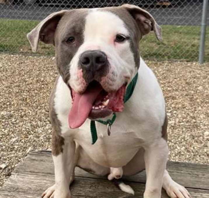 Photo of ACE