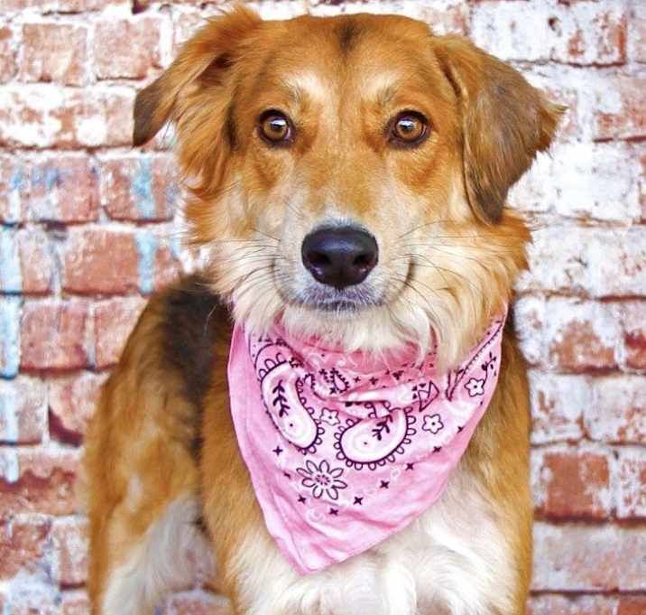 Photo of Heidi