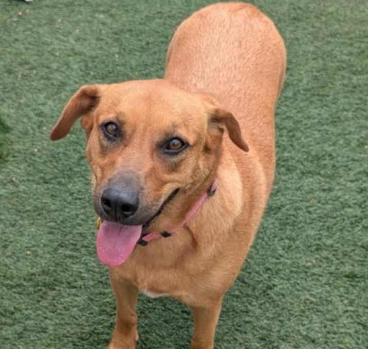 Photo of Darla