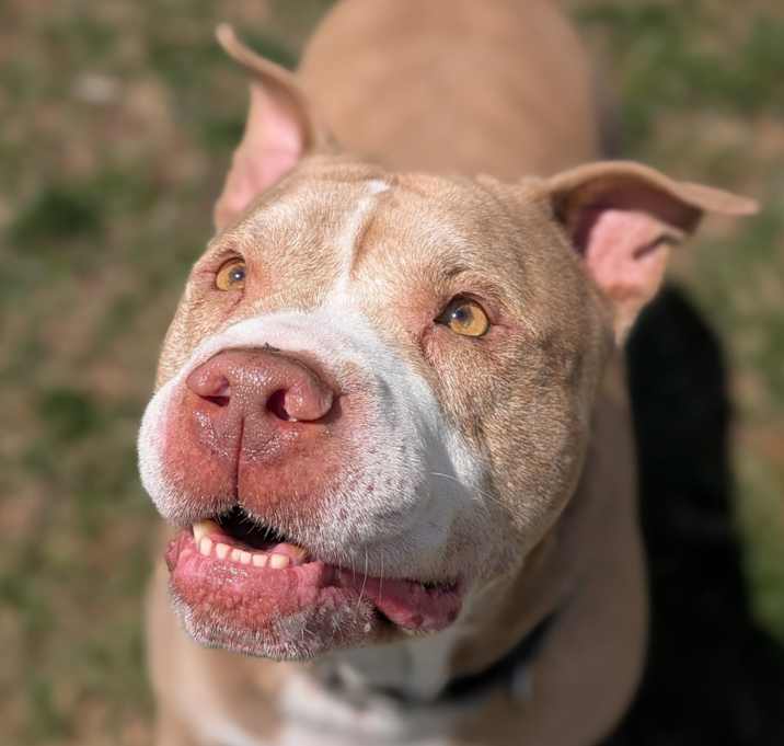 Photo of Blue