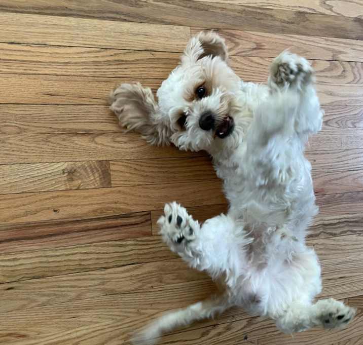 Photo of Spooky