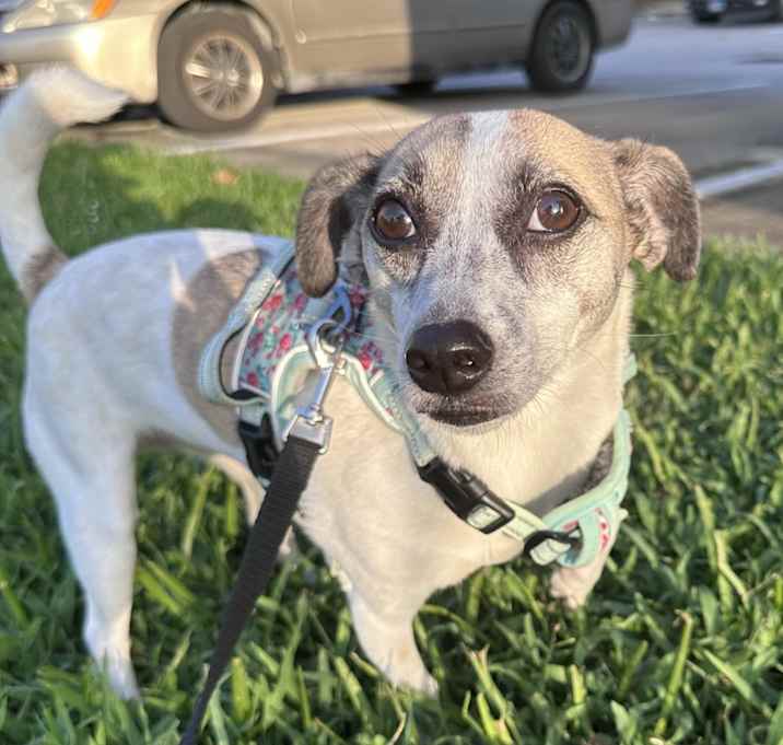 Photo of Annie