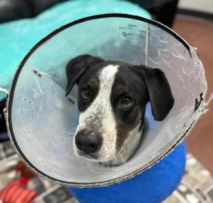 Photo of Cash