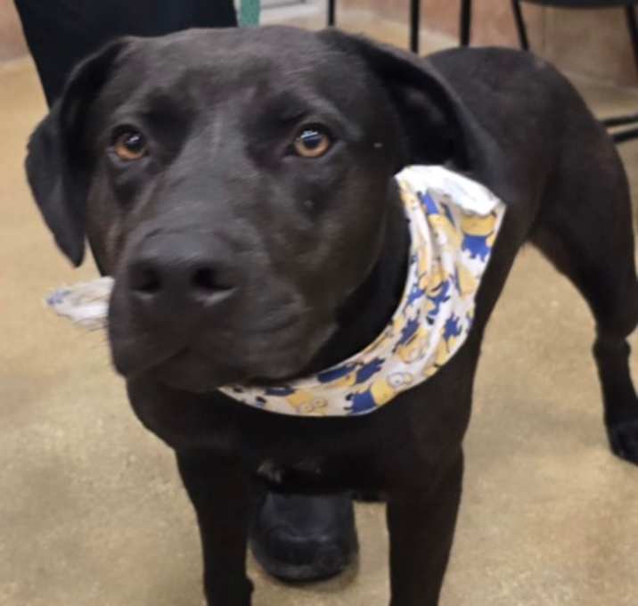 Photo of Coal
