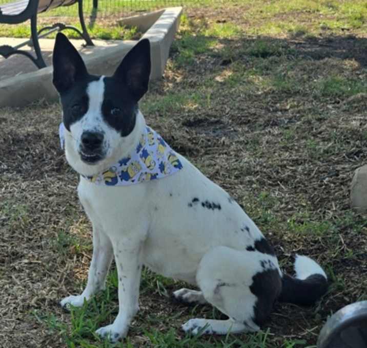 Photo of Pippa