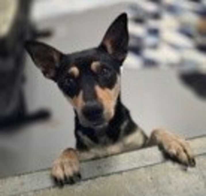 Photo of Chloe