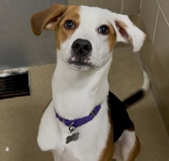 Photo of Rocko