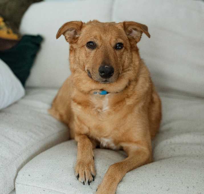 Photo of Betty