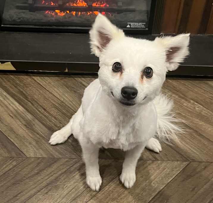 Photo of Yuki