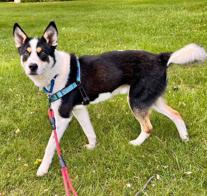 Photo of Bert