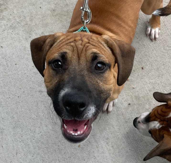 Photo of Bubba