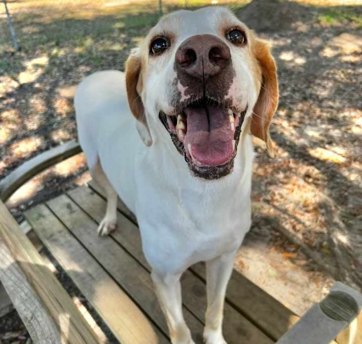 Photo of Duke