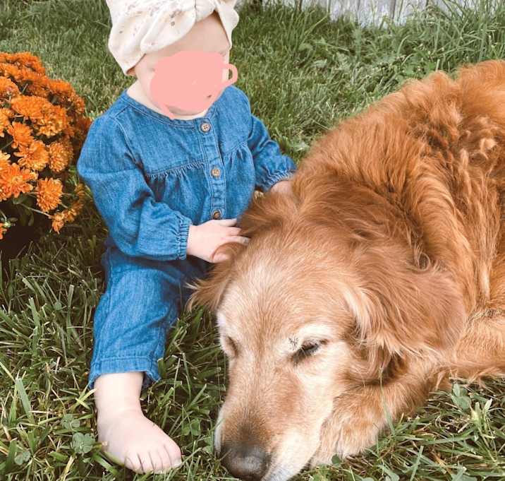 Photo of Brinkley