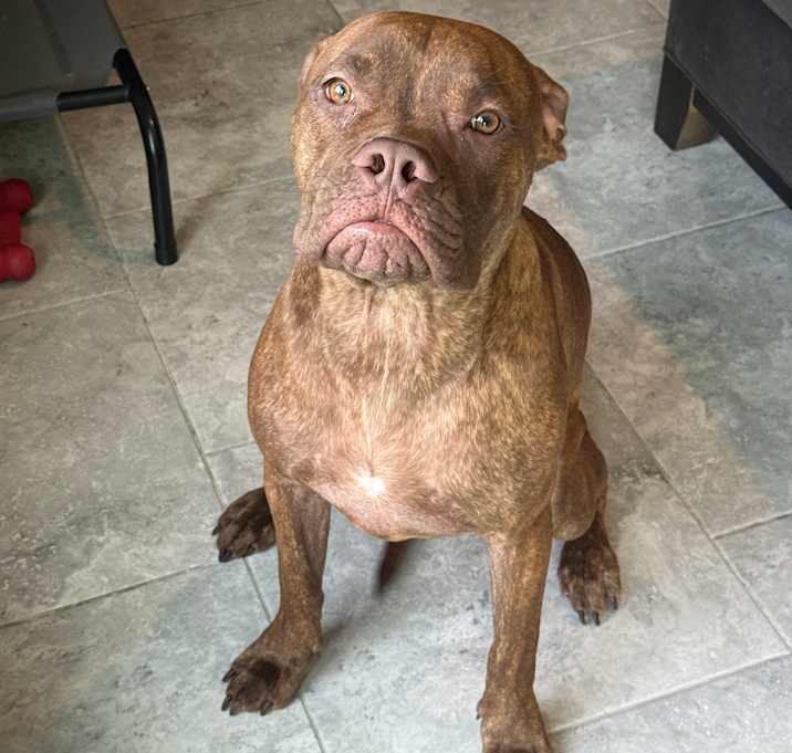 Photo of Bane