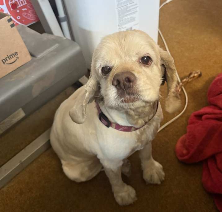 Photo of Nala