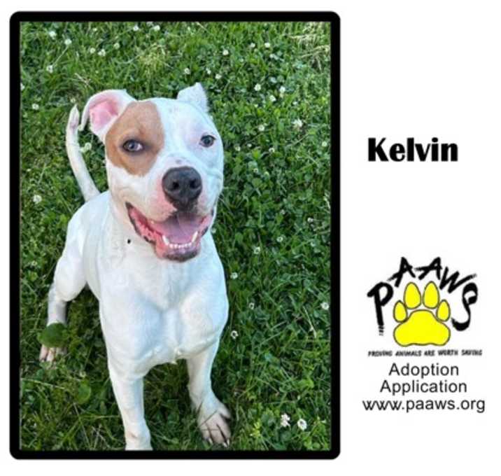 Photo of Kelvin
