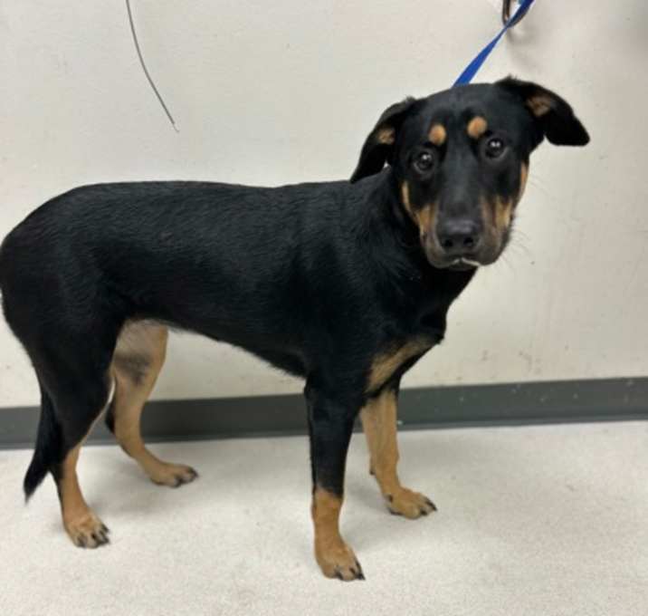 Photo of Oakley