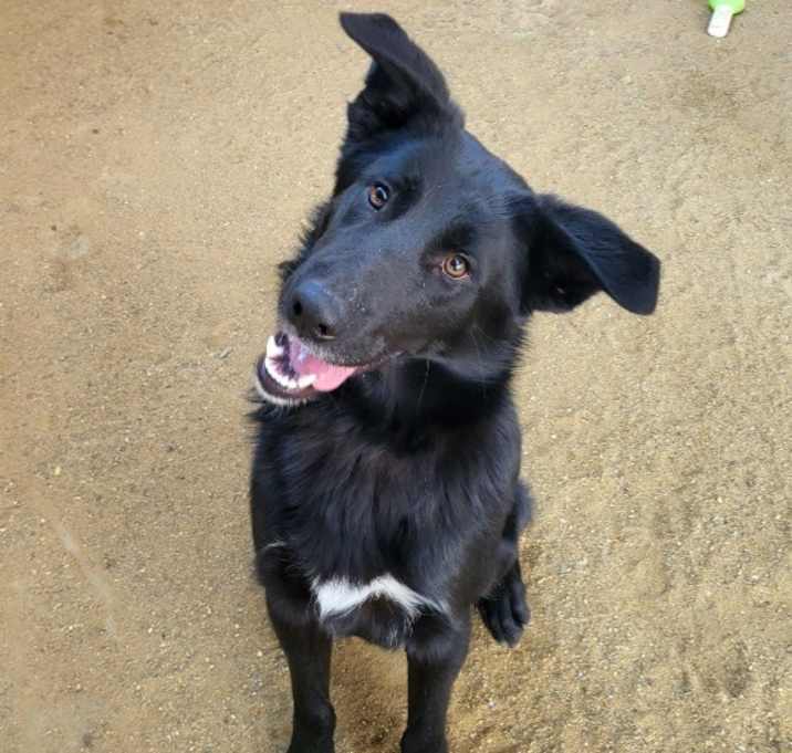 Photo of Echo