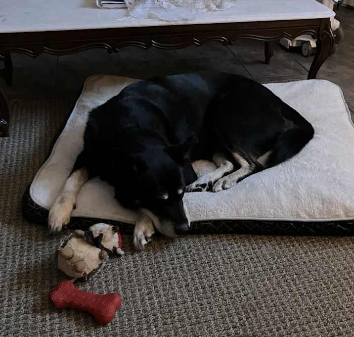 Photo of Thor