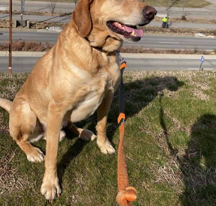 Photo of Finley