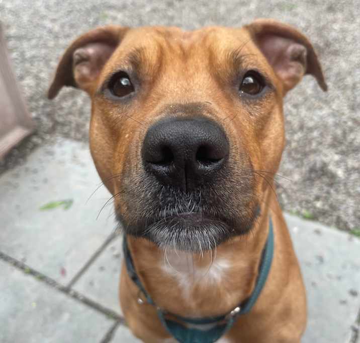Photo of Sasha