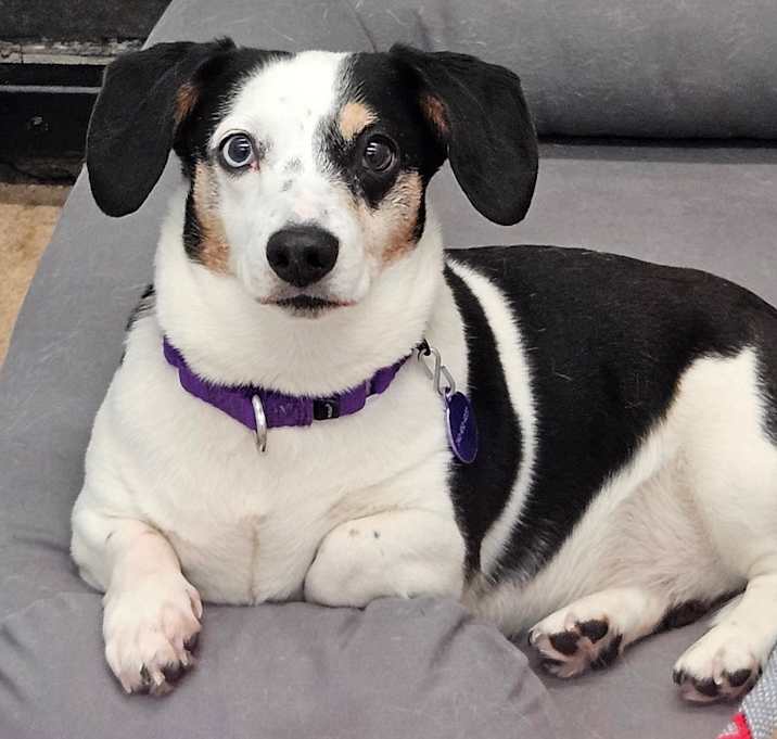 Photo of Molly