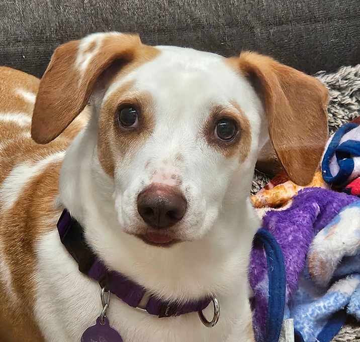 Photo of Henry