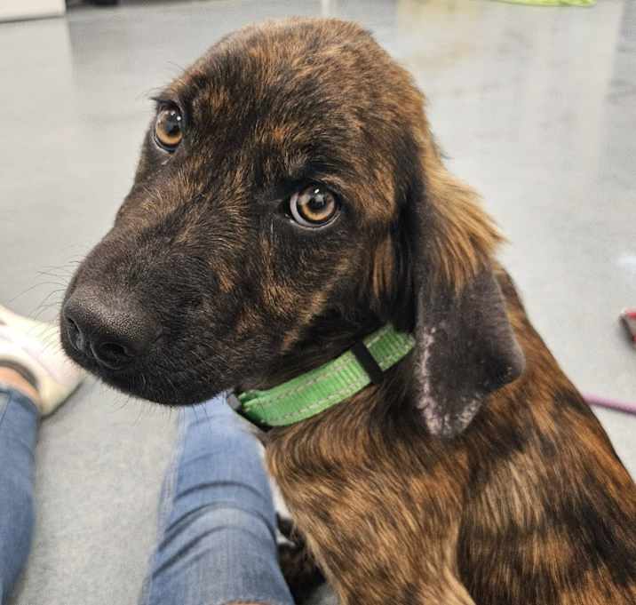 Photo of Oakley