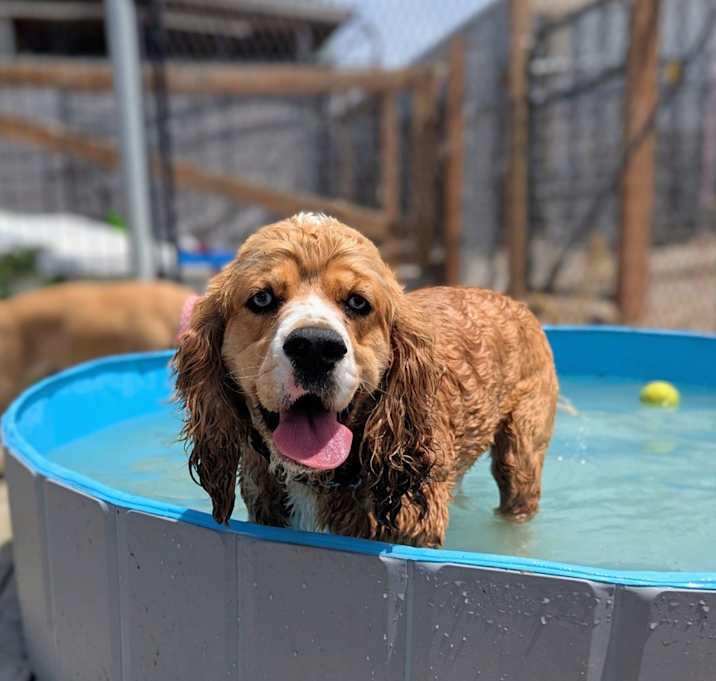 Photo of Huck