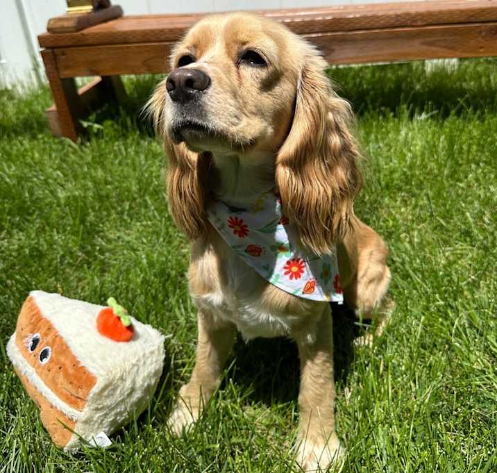Photo of Sandy