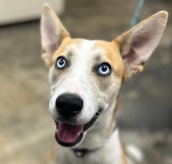 Photo of Tucker