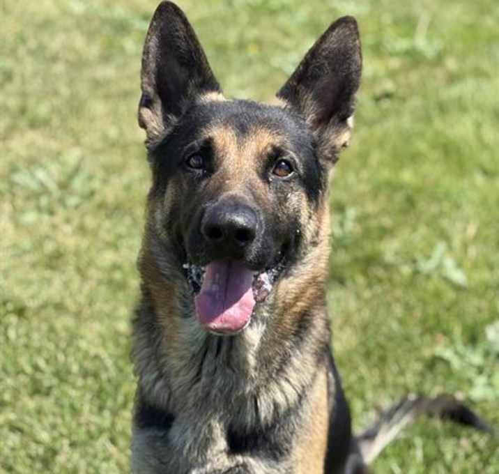 Photo of RYDER