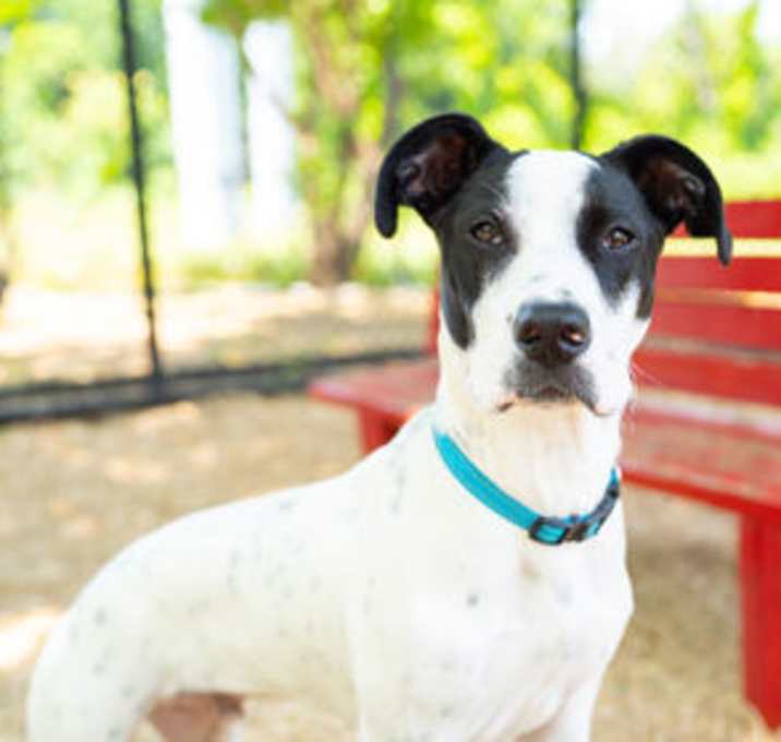 Photo of Max