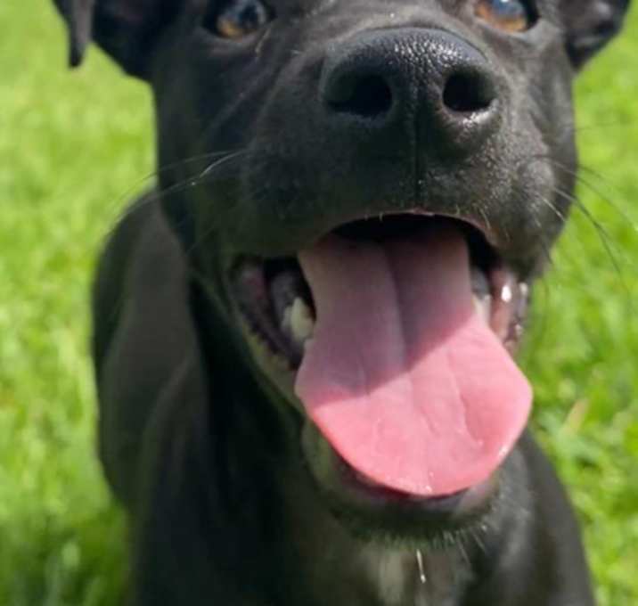 Photo of Twix