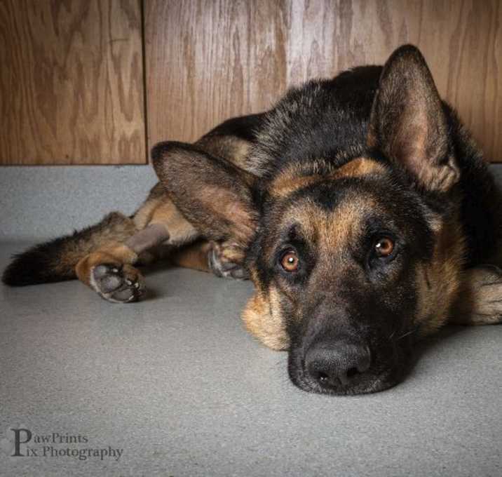 Photo of Dale