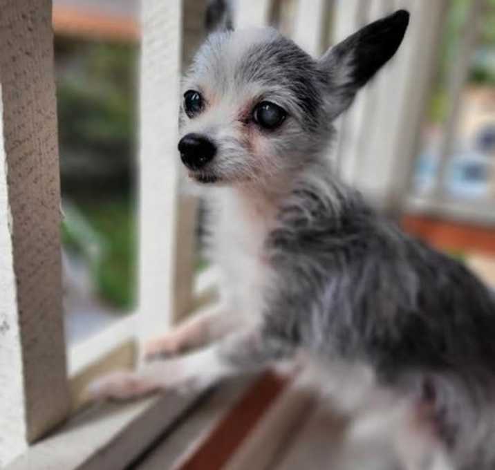 Photo of Chiqui