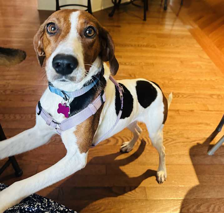 Photo of Addie