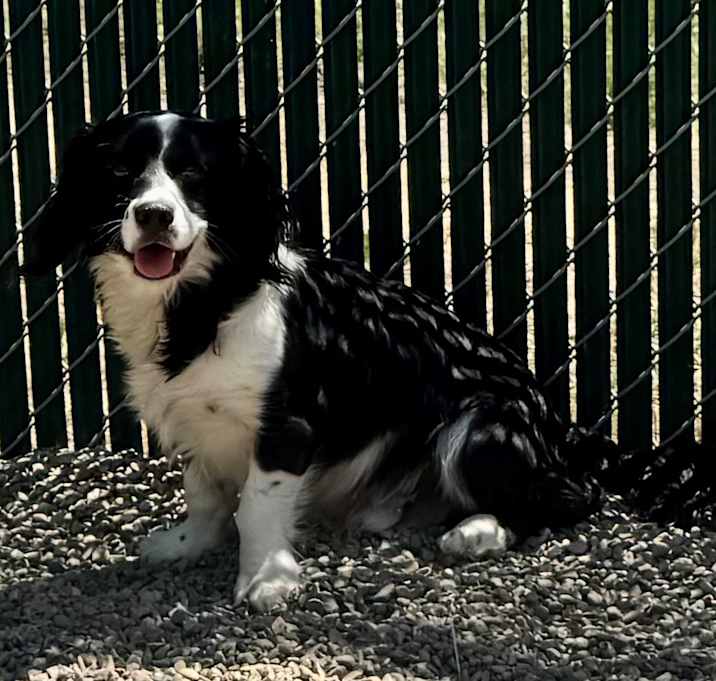 Photo of Sammy