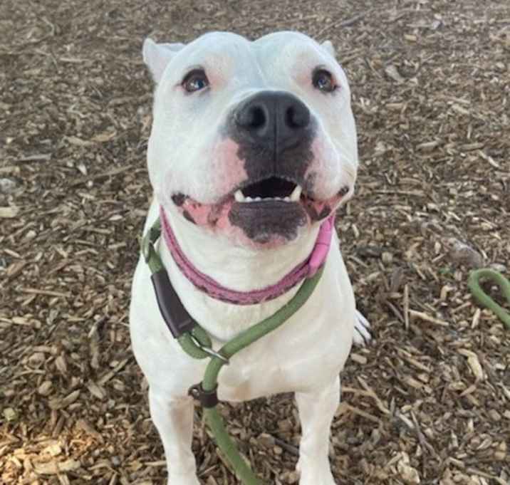 Photo of Lilly