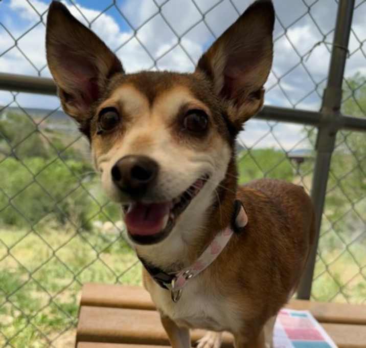 Photo of Lucy