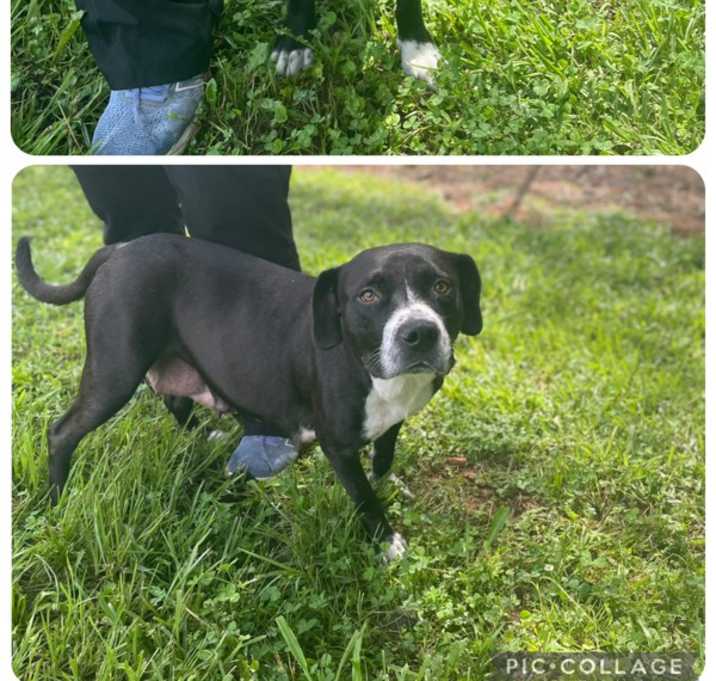 Photo of 21476- Maybelle