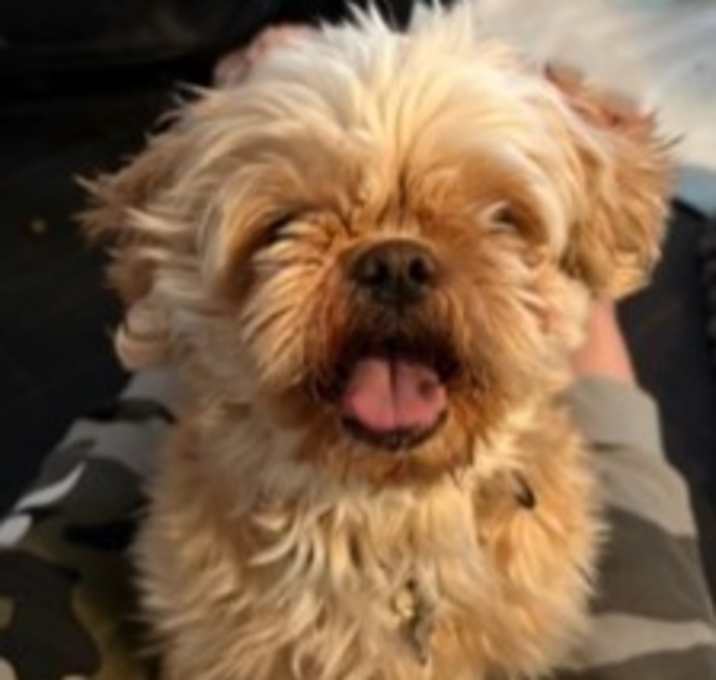 Photo of Cinnamon