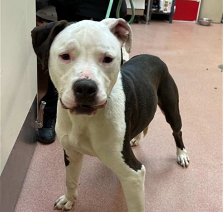 Photo of JAX