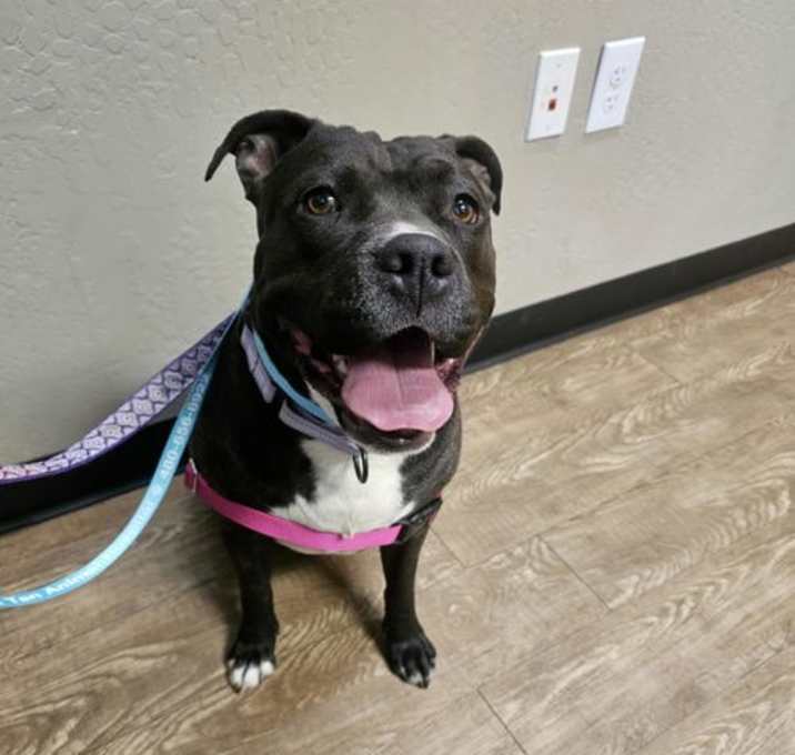 Photo of Little LULU