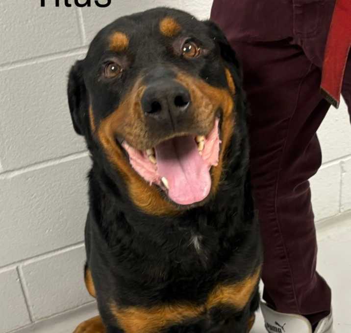 Photo of Titus