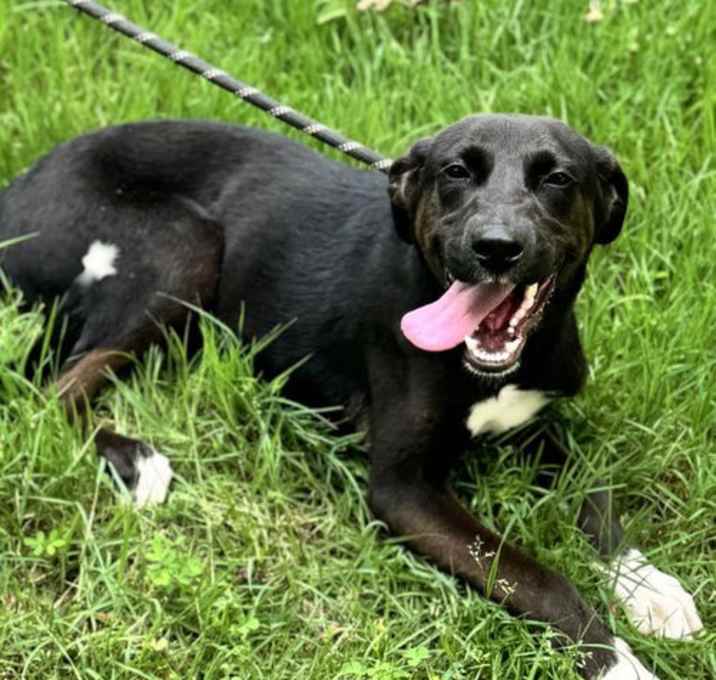 Photo of Molly
