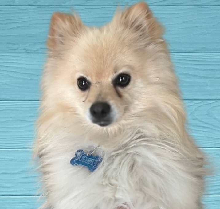 Photo of Ferguson