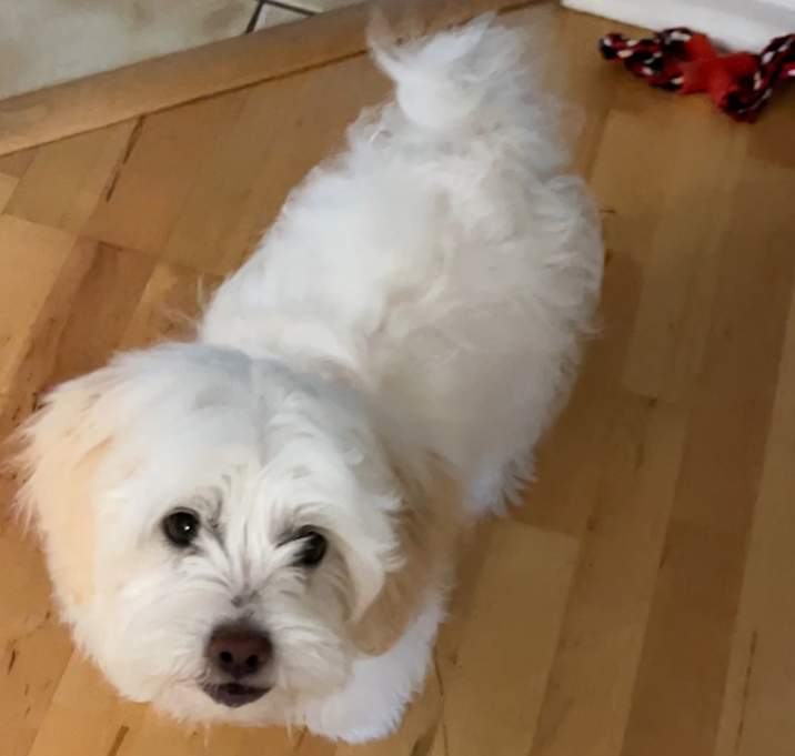 Photo of Smalls