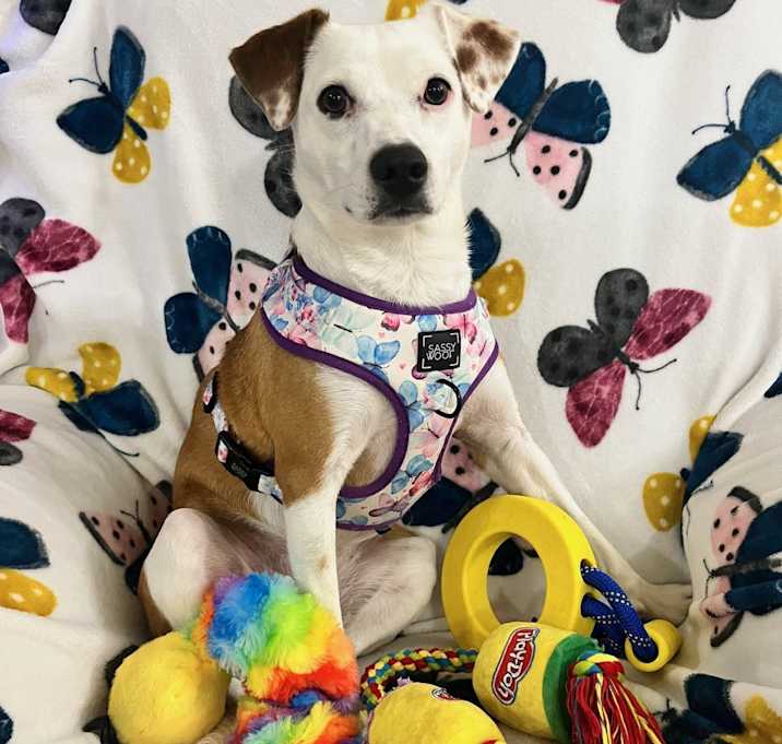 Photo of Ellie-Kate