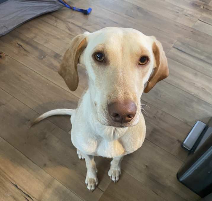 Photo of Maci